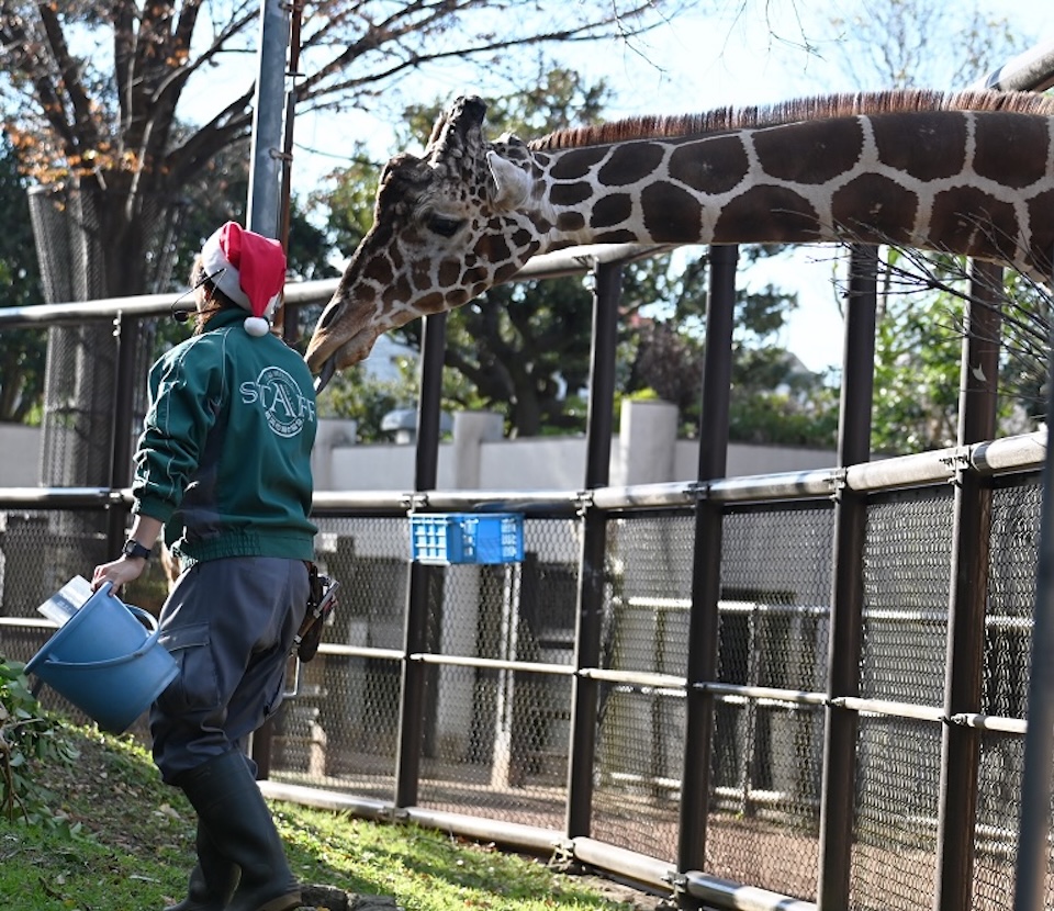 野毛山動物園2