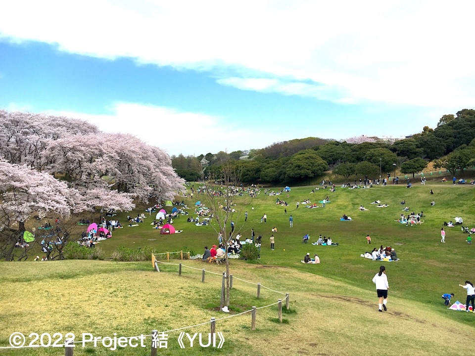 根岸森林公園1