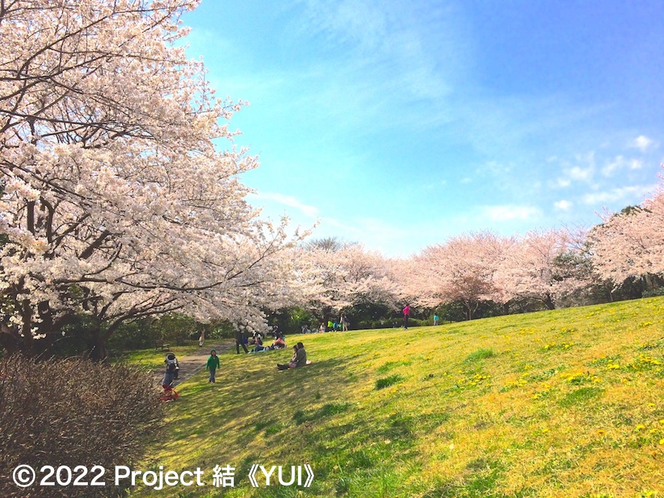 本牧山頂公園1