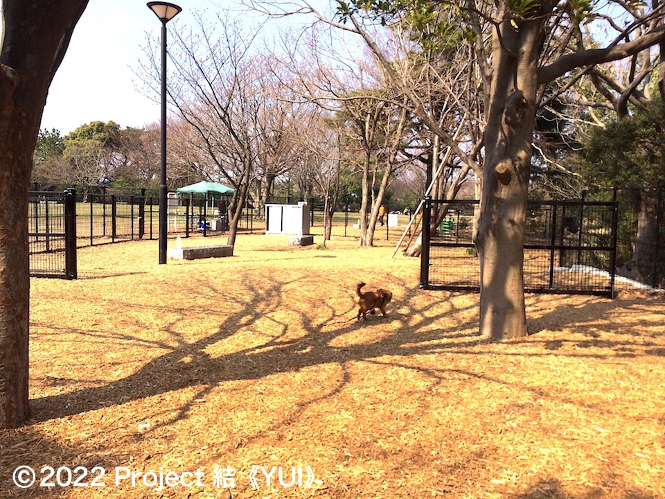 本牧山頂公園2