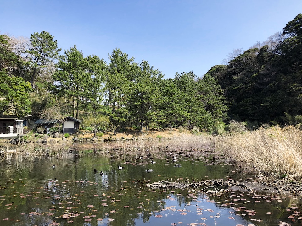 本牧市民・臨海公園1