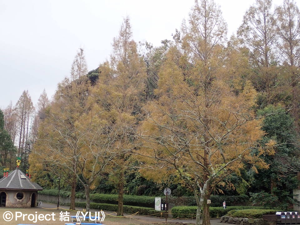 金沢自然公園・金沢動物園1