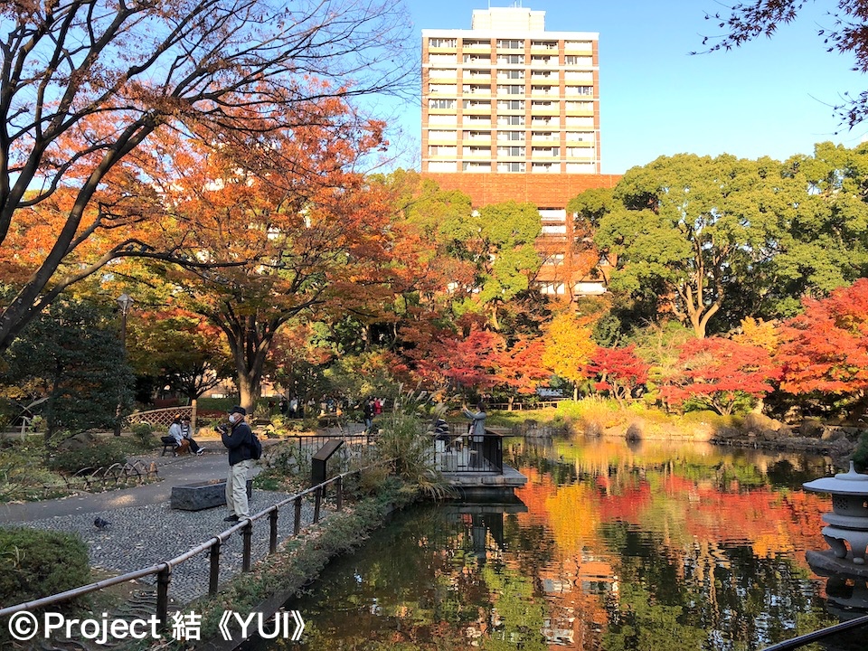 年 秋 地元ハマっ子がオススメする 横浜の紅葉スポット 名所 19選 Yokohama Osusumewa