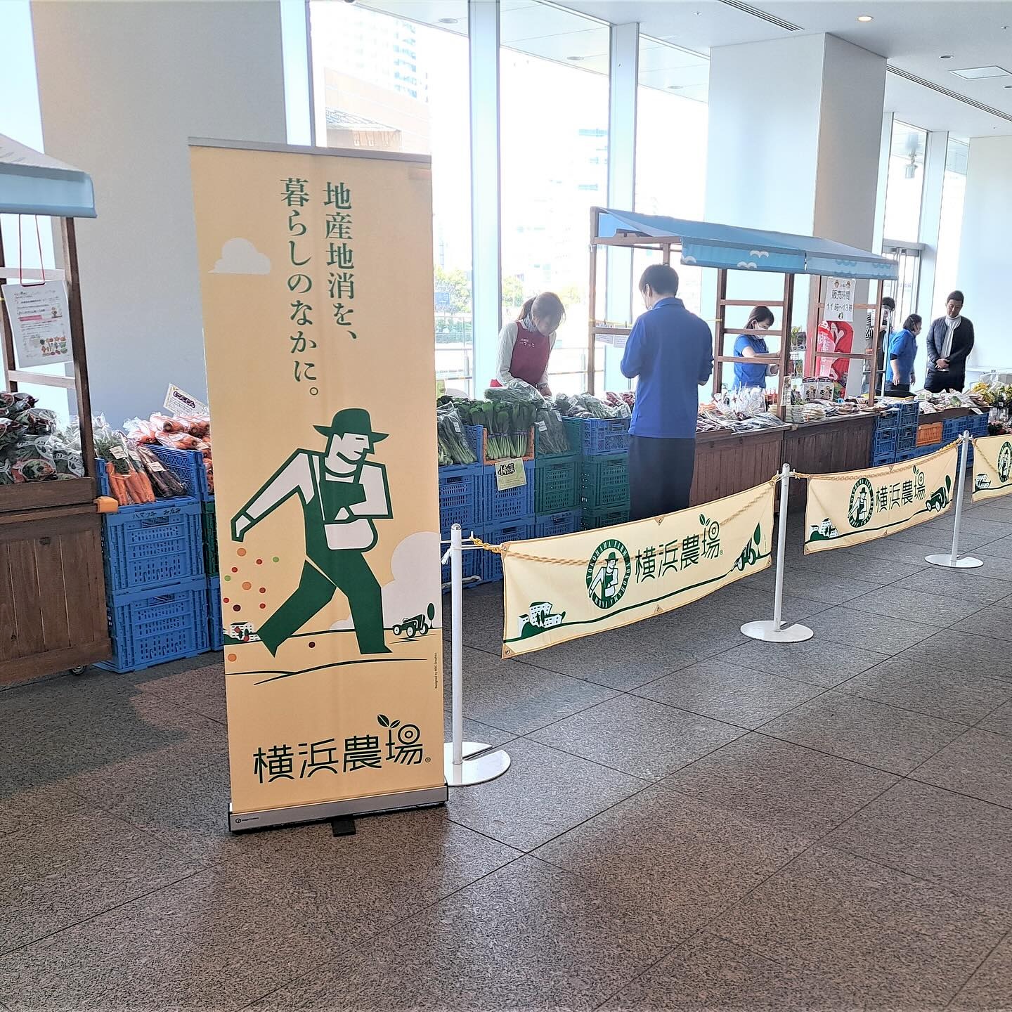 横浜野菜直売所