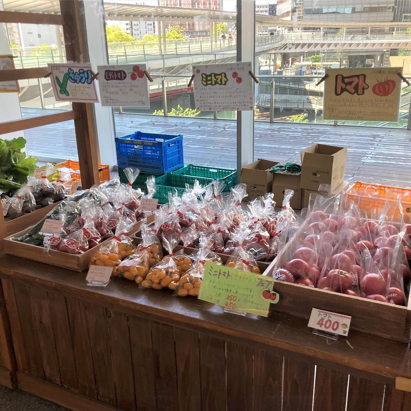 横浜野菜直売所