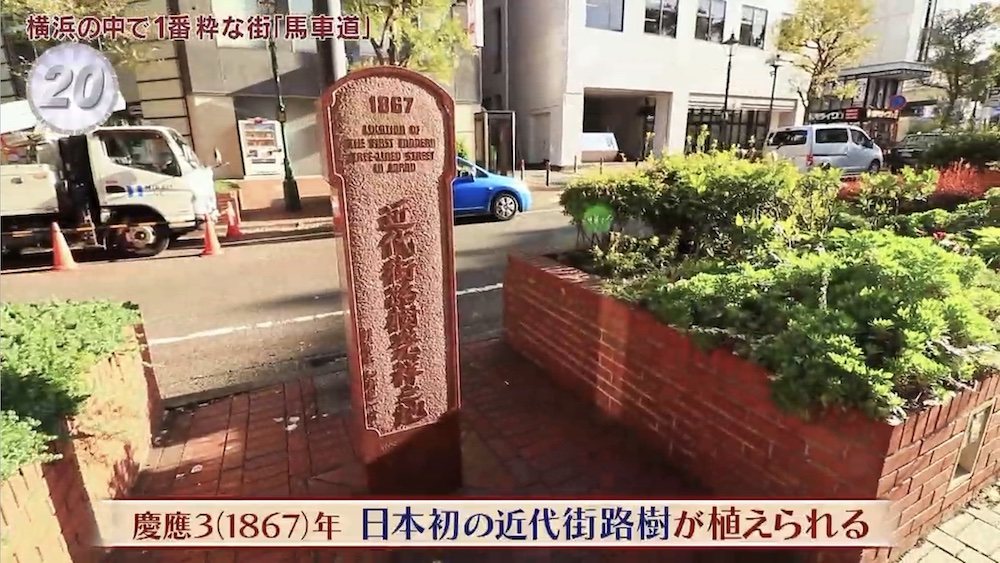 近代街路樹 発祥之地1