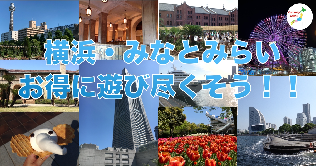 管理 4 フライトシュミレーター直ぐ遊べます 新規の方も歓迎