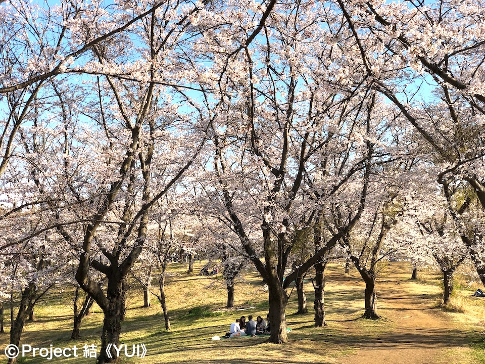 こども自然公園1