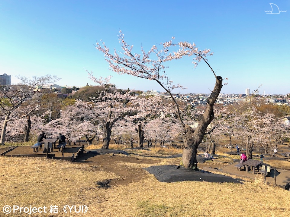 こども自然公園2