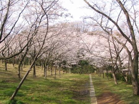 久良岐公園1