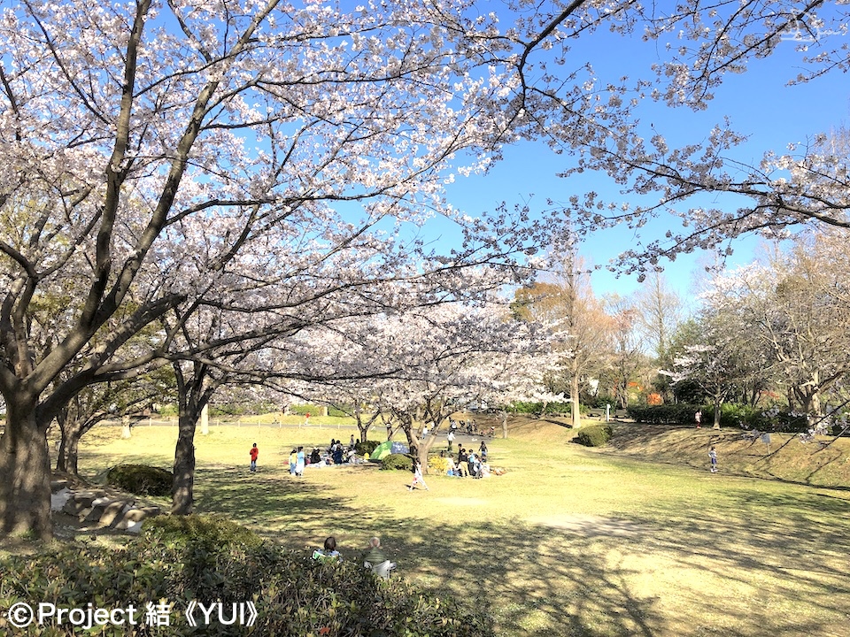 舞岡公園1