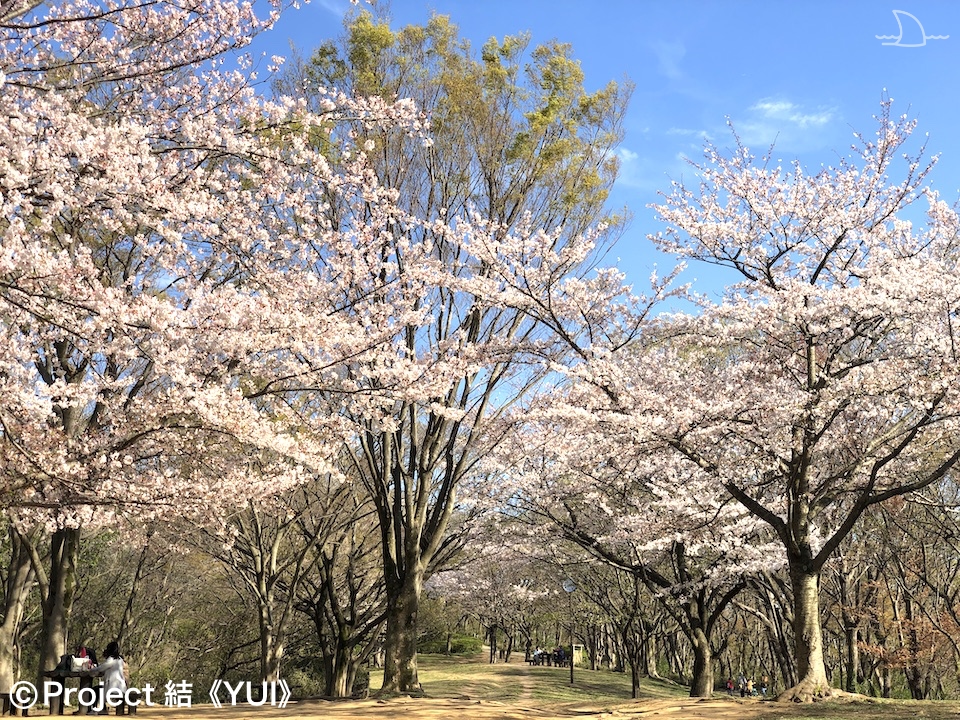 舞岡公園2