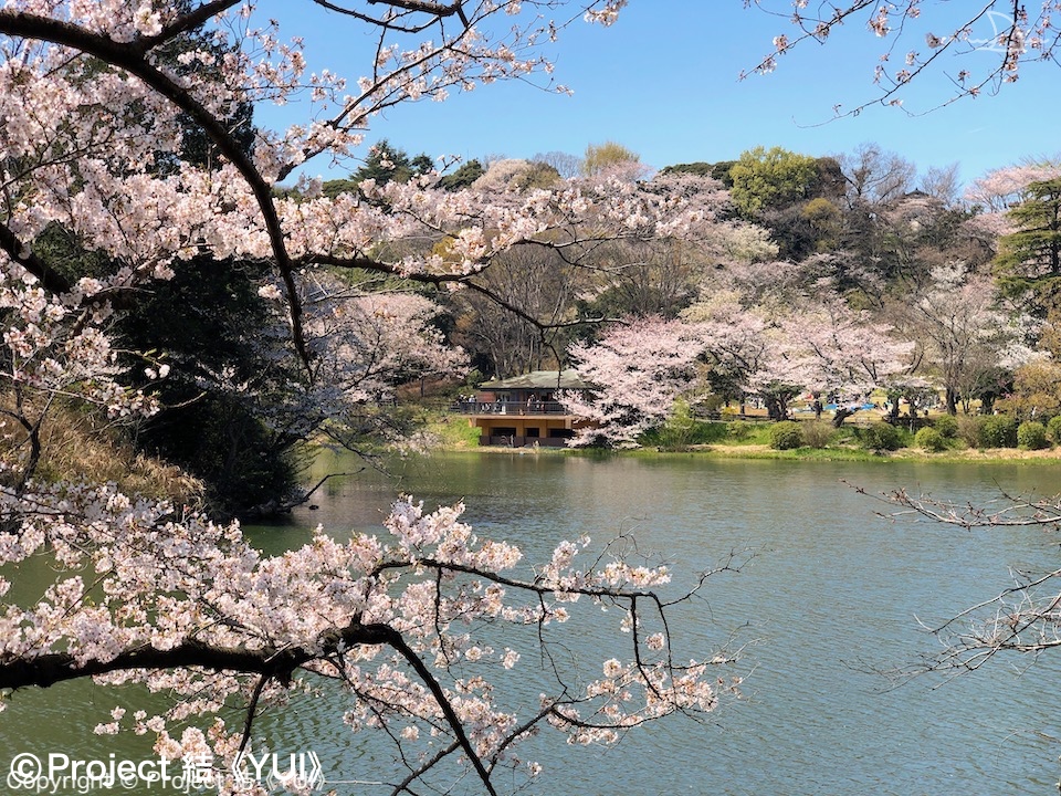 三ツ池公園1