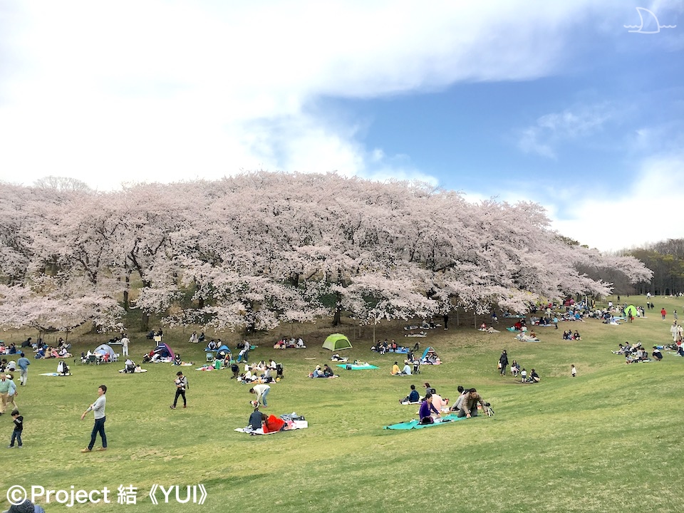 根岸森林公園１