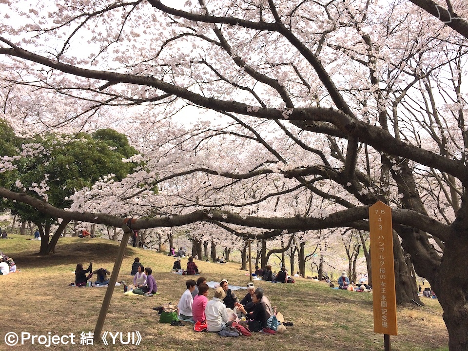 根岸森林公園２