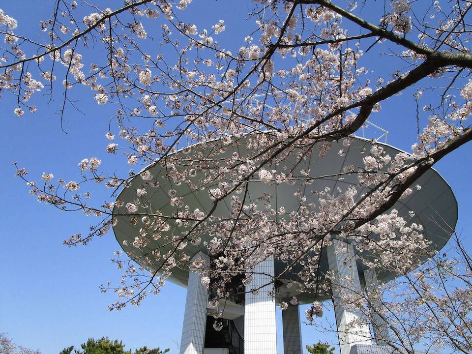 野島公園1