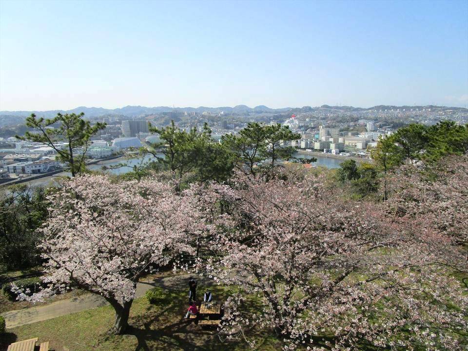 野島公園2