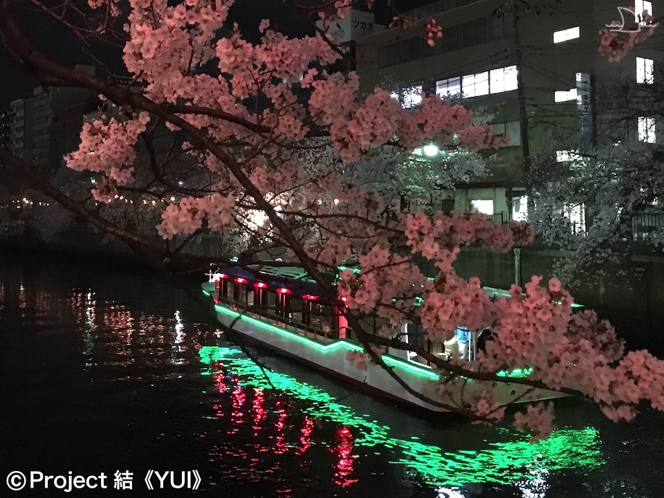 大岡川 桜まつり2