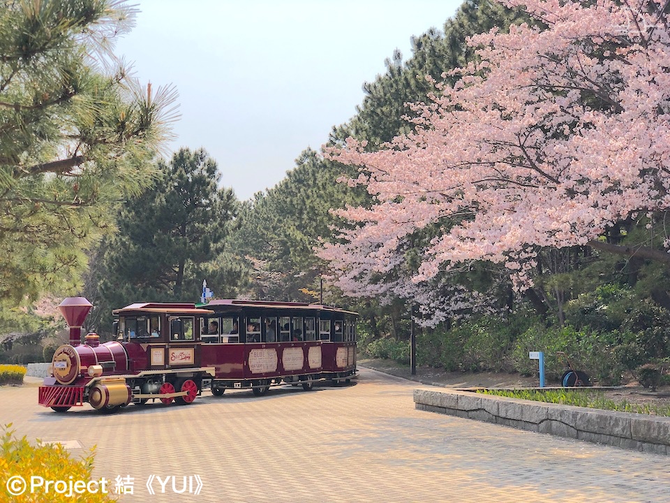 横浜・八景島シーパラダイス1