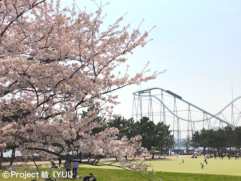 横浜・八景島シーパラダイス2