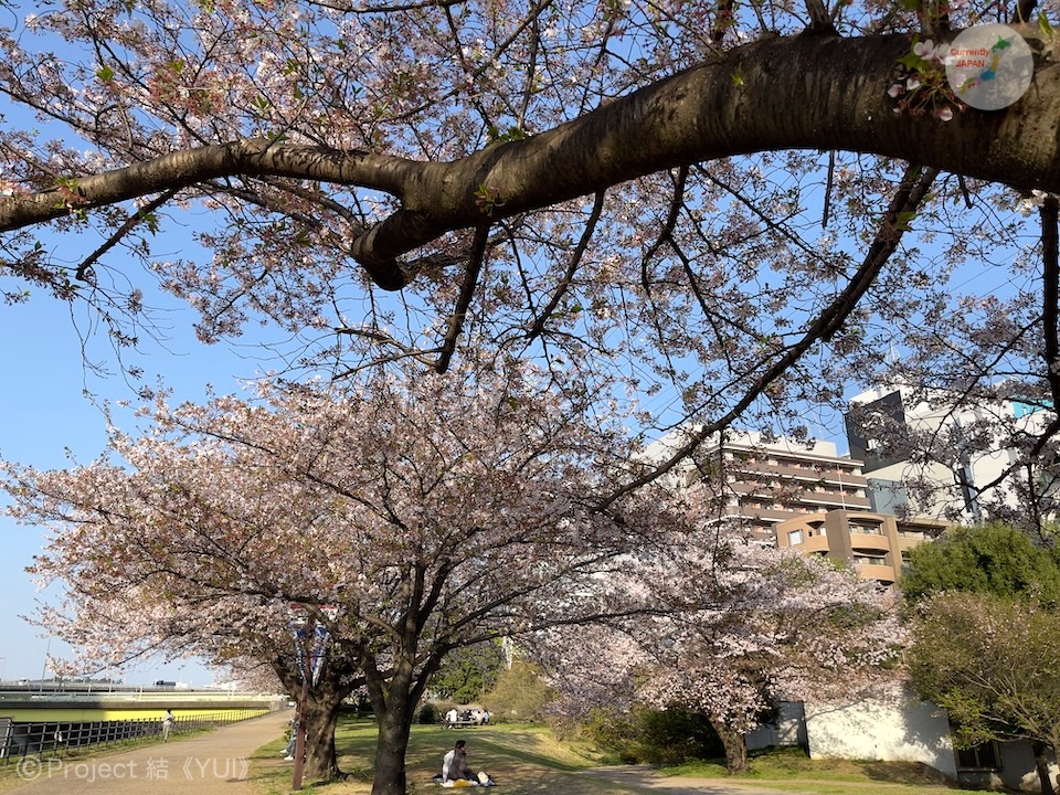 新横浜駅前公園1