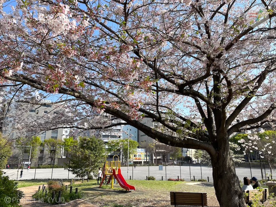 新横浜駅前公園2