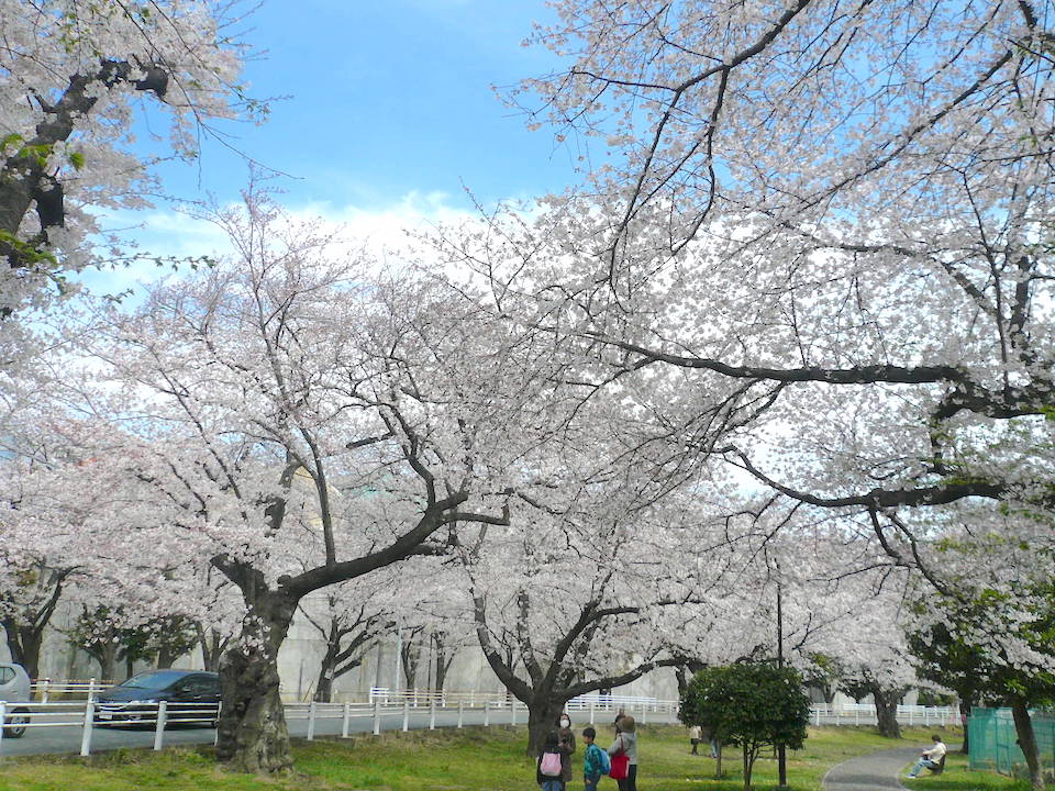 富岡総合公園1