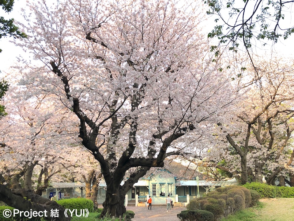 山手公園1