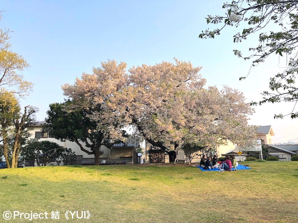 山手公園2